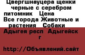 Цвергшнауцера щенки черные с серебром питомник › Цена ­ 30 000 - Все города Животные и растения » Собаки   . Адыгея респ.,Адыгейск г.